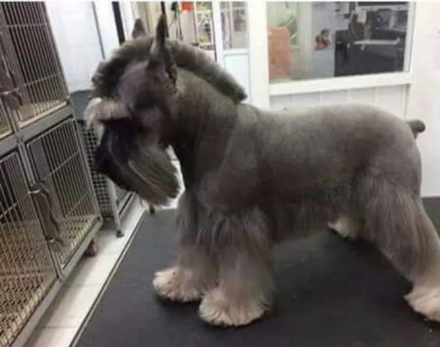 Picdump 180 - #45 