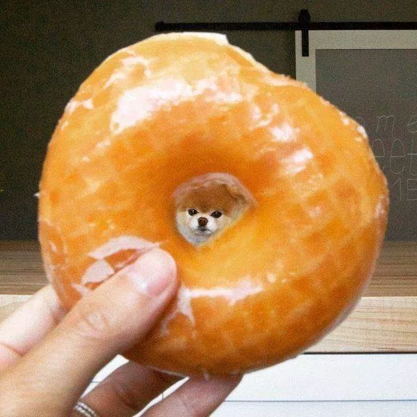 Picdump 180 - #79 