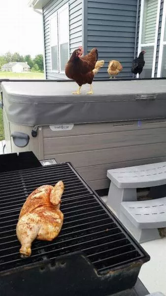 Picdump 180 - #80 