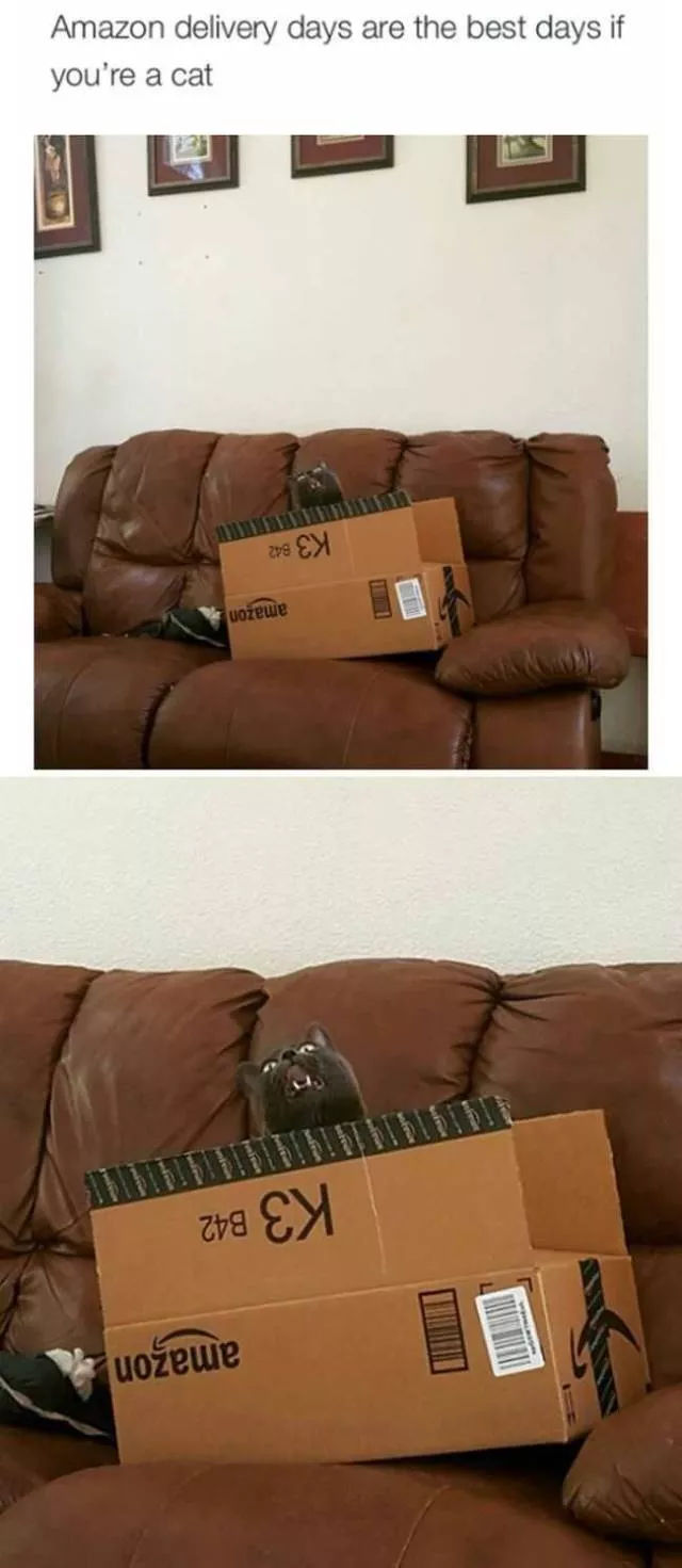Picdump 180 - #89 