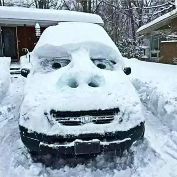 Picdump 181 - #36 