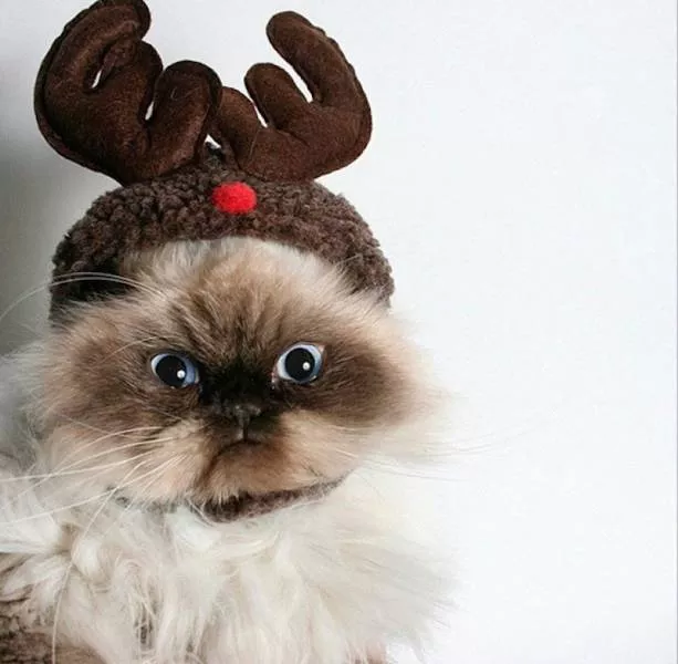 Picdump 181 - #43 