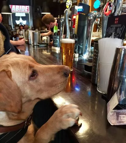 Picdump 182 - #2 