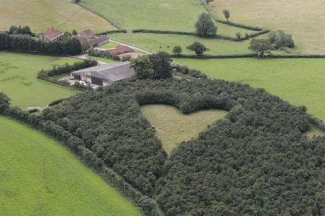Picdump 182 - #23 