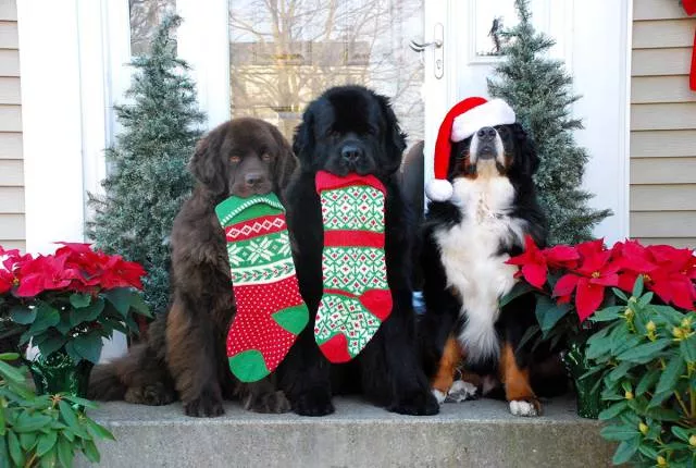 Picdump 182 - #38 