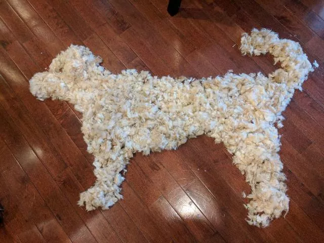 Picdump 182 - #41 