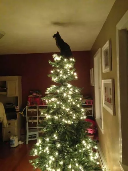 Picdump 182 - #50 