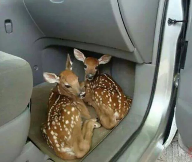 Picdump 182 - #8 