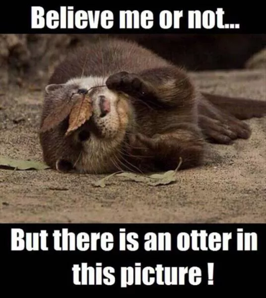 Did you understand all these images - #18 