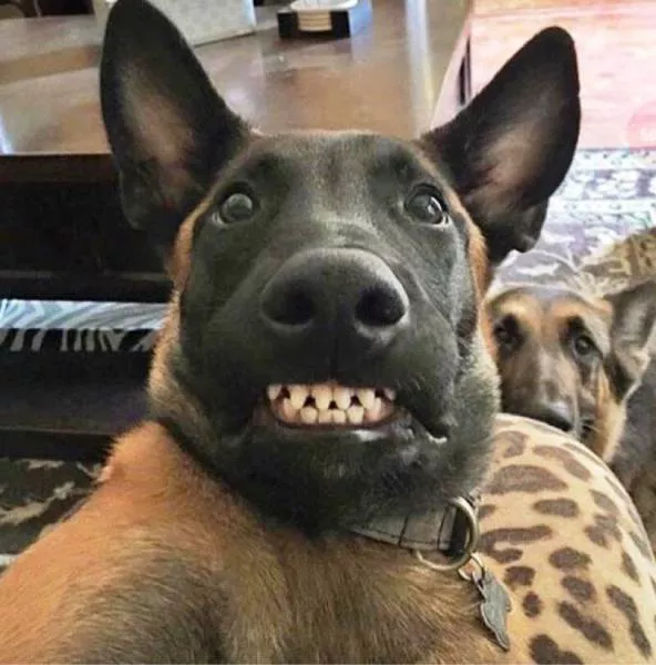 Picdump 183 - #12 