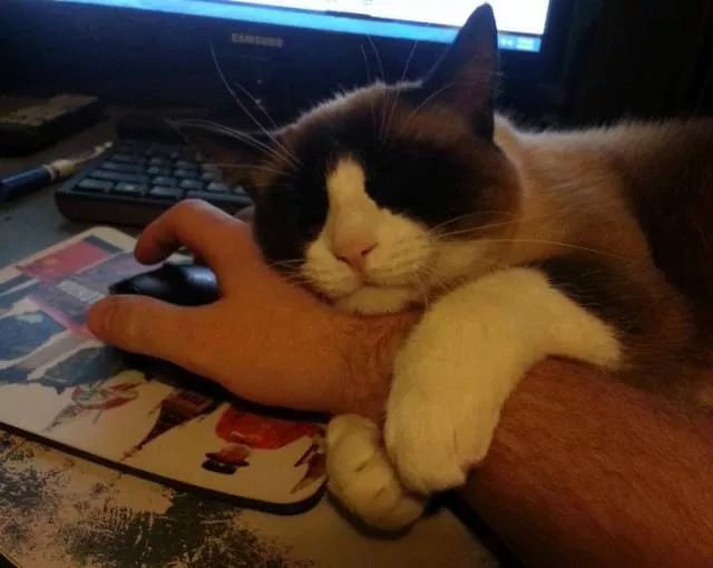 Picdump 183 - #16 