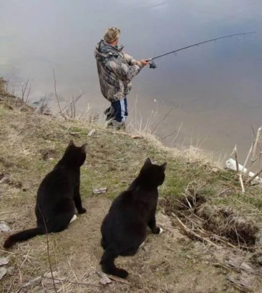 Picdump 183 - #17 