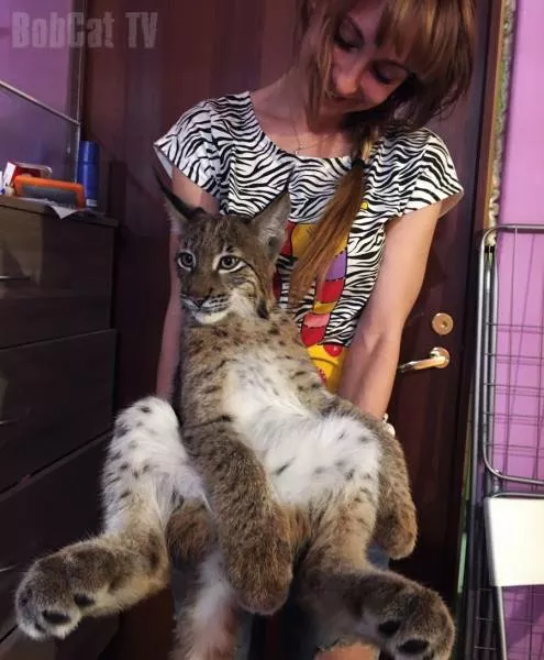 Picdump 183 - #20 