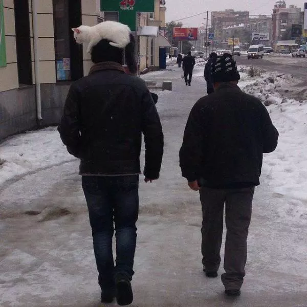 Picdump 183 - #42 