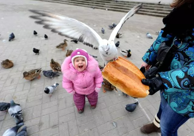 Picdump 183 - #54 