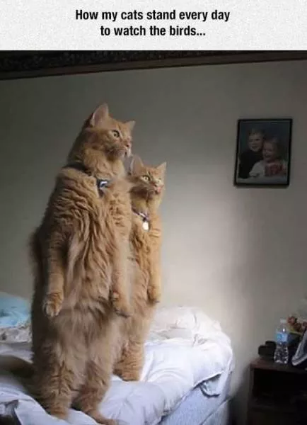Picdump 183 - #65 