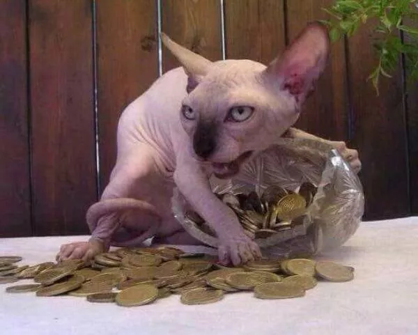 Picdump 183 - #66 