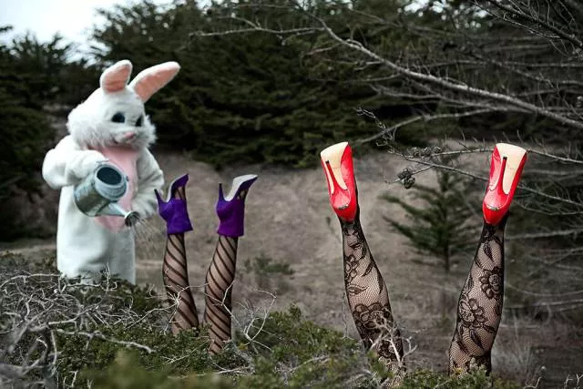 Picdump 183 - #93 