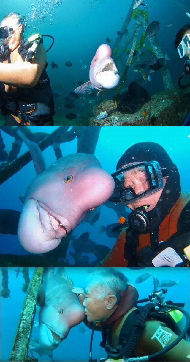 Picdump 183 - #98 