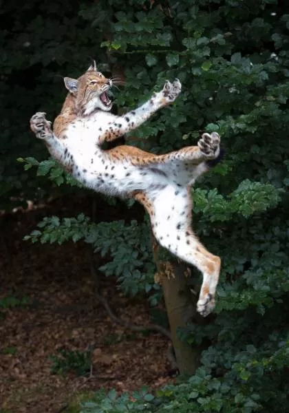 Picdump 184 - #10 