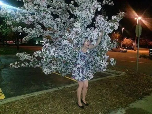 Picdump 184 - #11 