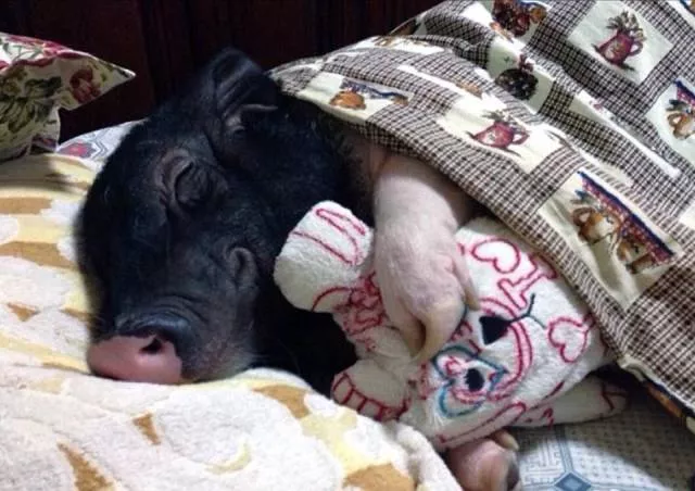 Picdump 184 - #18 