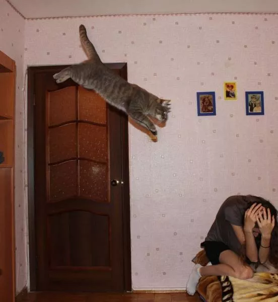 Picdump 184