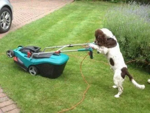 Picdump 184 - #47 