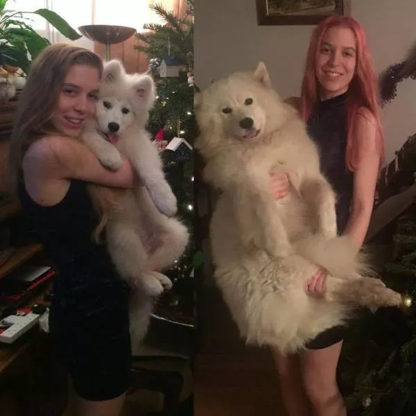 Picdump 184 - #48 