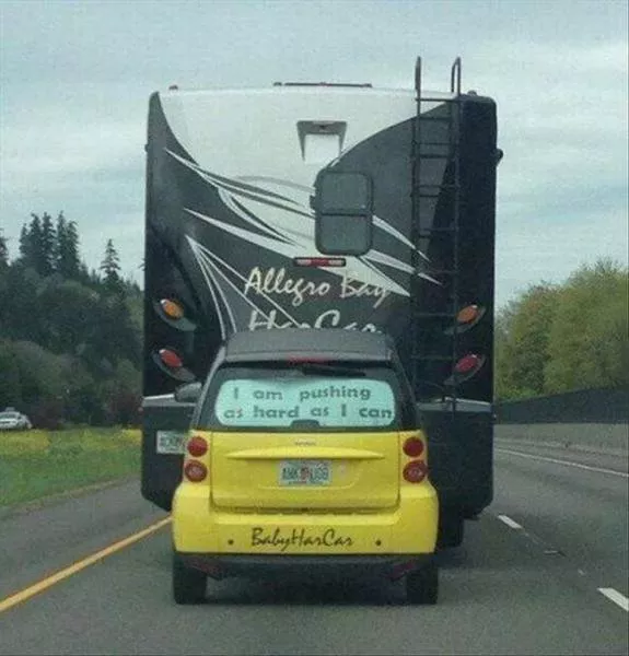 Picdump 184 - #57 
