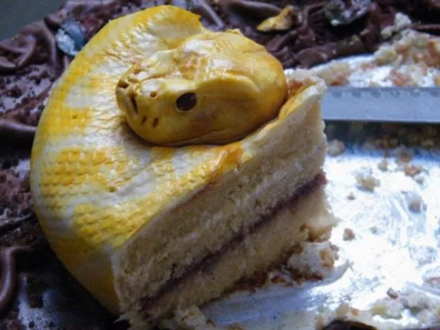Top des gateaux les plus beaux du monde