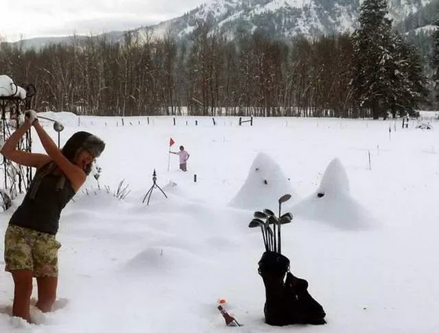 The cold they do not know - #7 