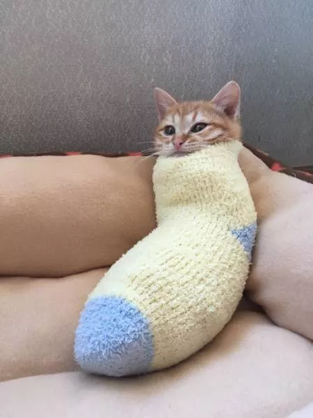Picdump 185 - #9 
