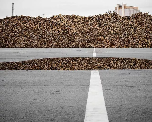 A little concentration to understand these images - #11 