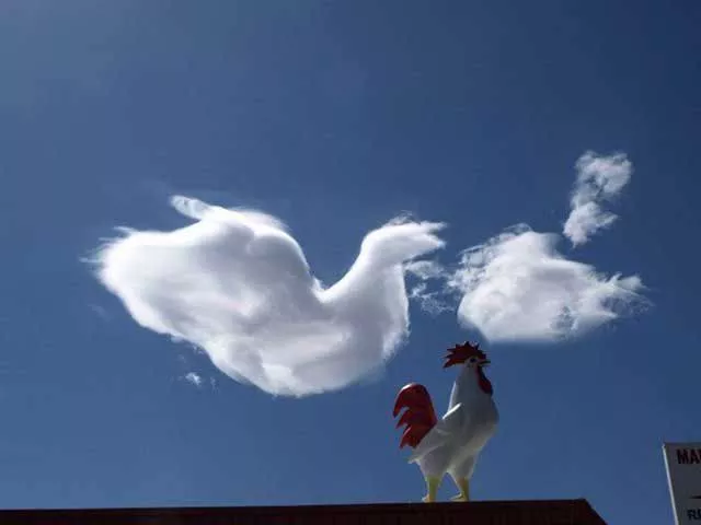 Un peu de concentration pour comprendre ces images - #48 