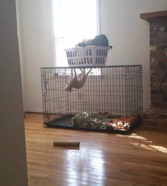 Picdump 186 - #17 