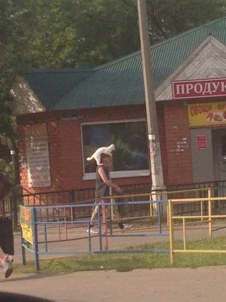 Picdump 186 - #27 