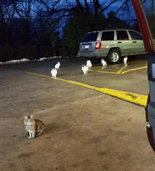 Picdump 186 - #31 