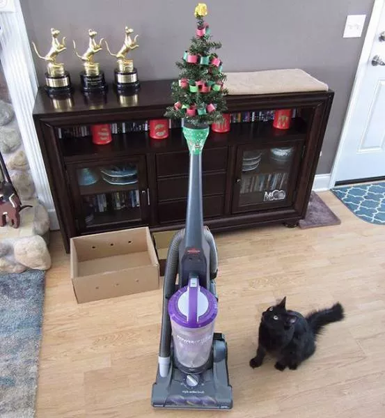 Picdump 186 - #34 