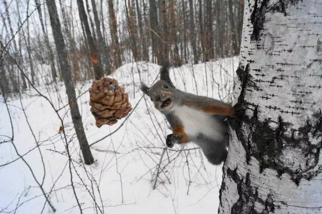 Picdump 186 - #49 