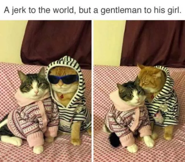 Picdump 186 - #51 
