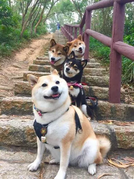 Picdump 186 - #56 