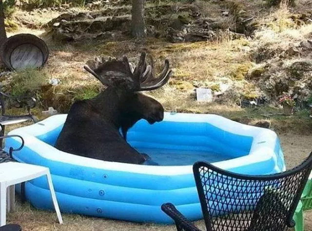Picdump 186 - #60 