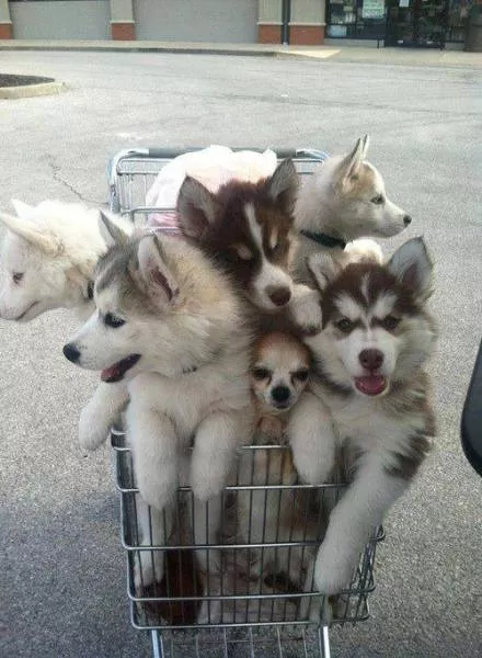 Picdump 186 - #62 