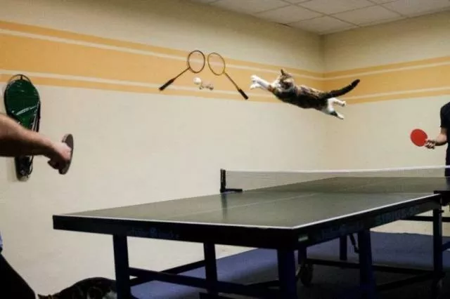 Picdump 186 - #75 