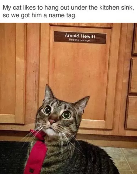 Picdump 186 - #80 