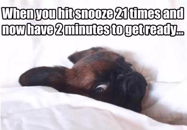 Picdump 187 - #49 