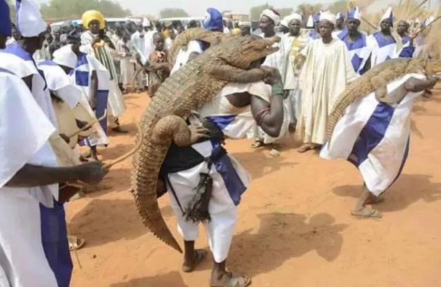 Picdump 188 - #63 