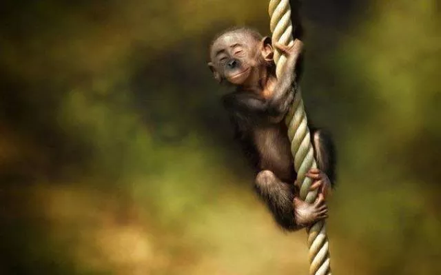 Les meilleures prises de photos jamais vus - #15 