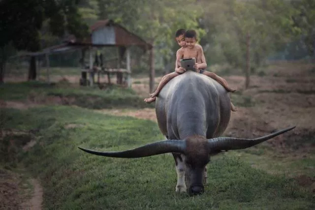 The best photos taken ever